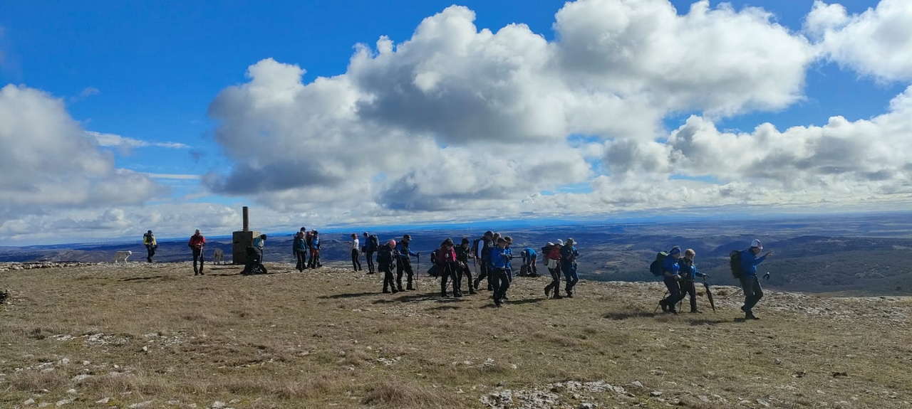 WhatsApp Image 2026-02-10 at 14.47.47 (1)